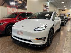 تێسلا مۆدێلی Y